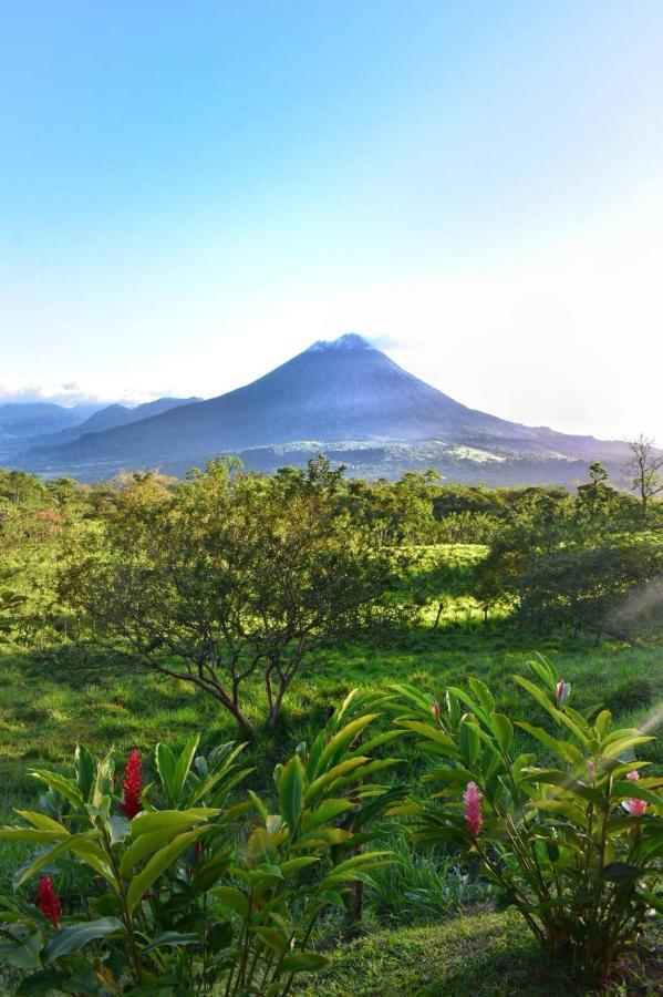 La Fortuna Las Pavitas Cottages מראה חיצוני תמונה